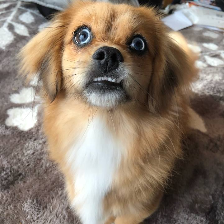 136d2f06 0a6f 4776 a6e9 5e1a36a68a78 1631570491352