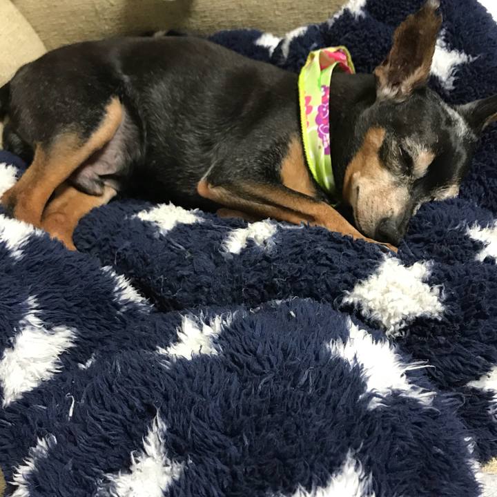 136d6992 3cea 436e a84f 093cfd692aeb 1560086298001