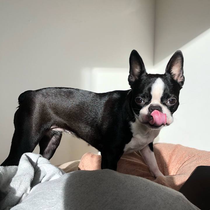 136d770b af4d 4b16 a247 57f46e2483ac 1547087774961