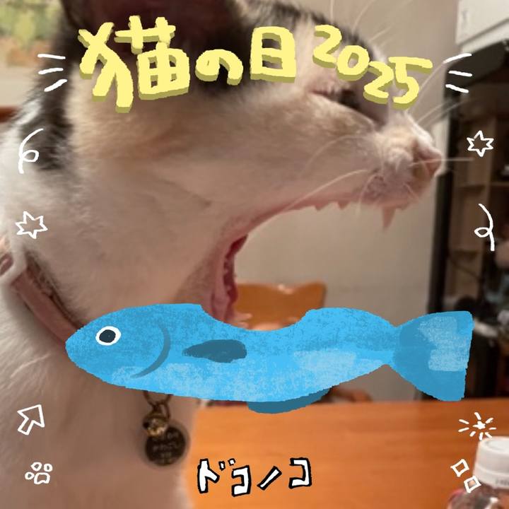 136d9919 e00f 46e1 b39c 57ec433d012f 1740112984363