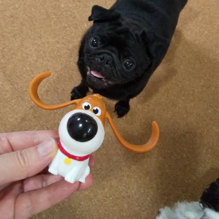 136da296 ae91 49c3 9532 a8f0c312af53 1564400679077