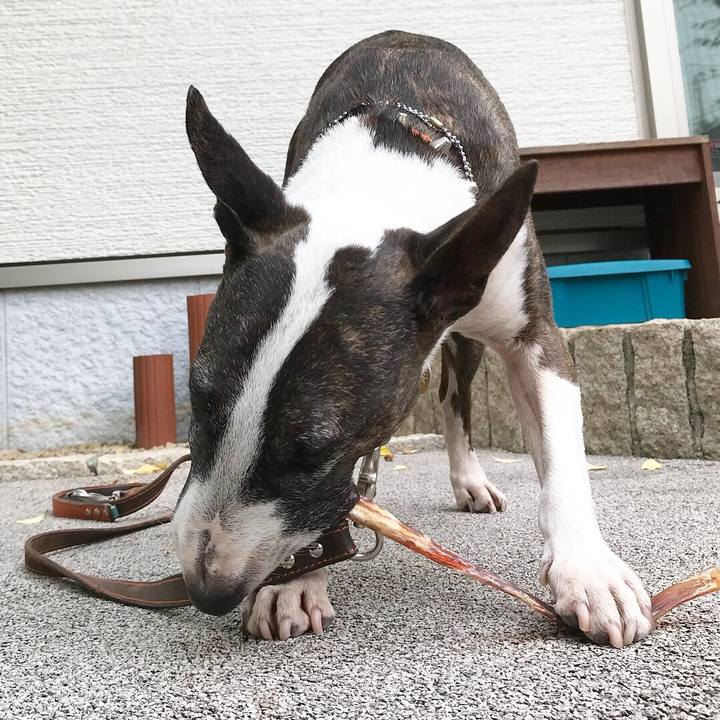 136dd28c c0b3 4ff5 be94 881af9b948ae 1527411034036