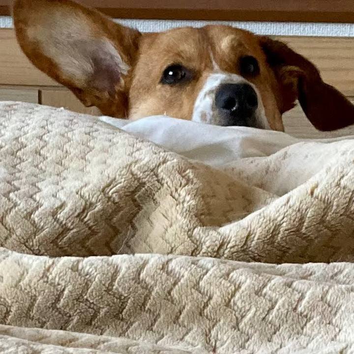 136dec49 e376 4830 ac9b 31c373313a68 1669555767586