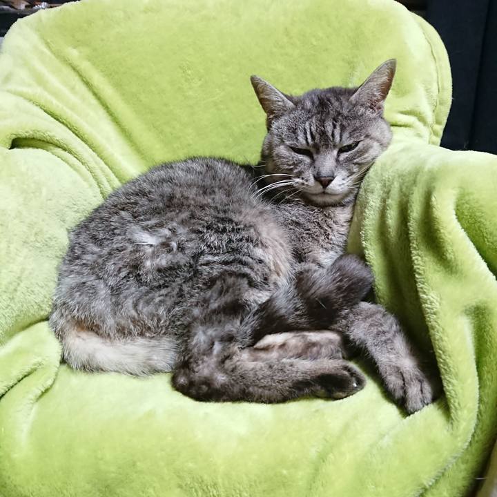 136e25ba fe30 41eb 8ec8 36cb1326db61 1583147739403