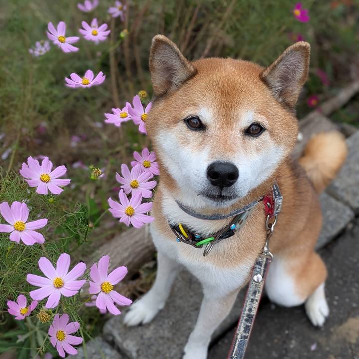 136e3383 9b97 4e78 adcf 019e0bdc9664 1760425806676