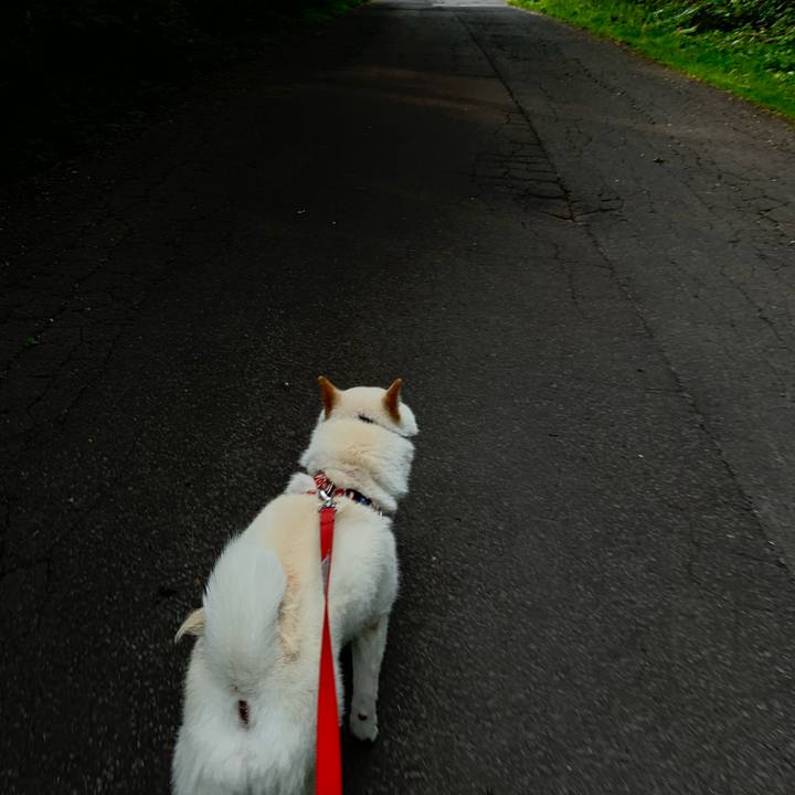 136ed83a 3445 44bd 993d 14c91f2b35d4 1561756011588