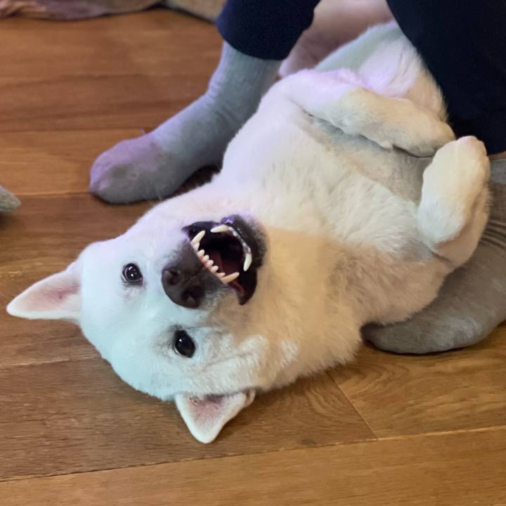 136edd4a 8d81 4b17 86a7 c135f997b825 1669718131102