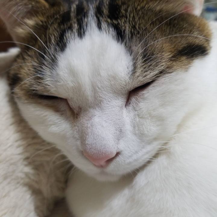 136eeaf2 6eae 4856 9bcf 83821f2e5afa 1581115045630