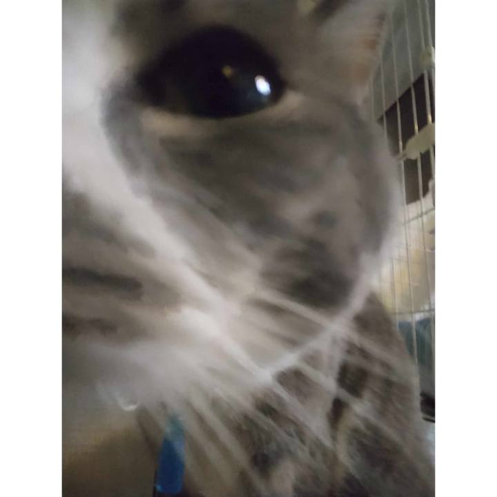 136f1bb0 b322 4f63 920a 45638d5dada4 1714471267855