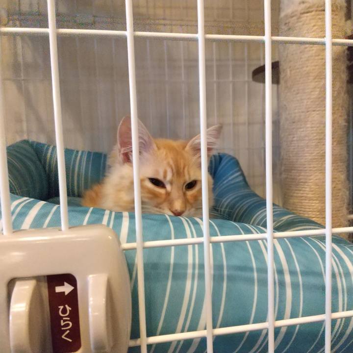 136f3f27 bf79 4dea b309 4862070f067c 1609369640075