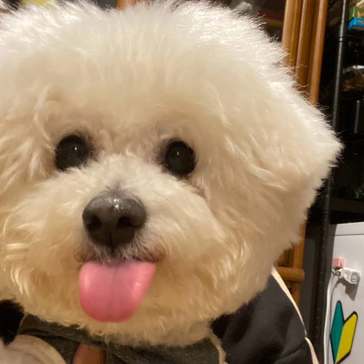 136f5944 012f 4cf1 a7f3 cd7221956136 1740900539218