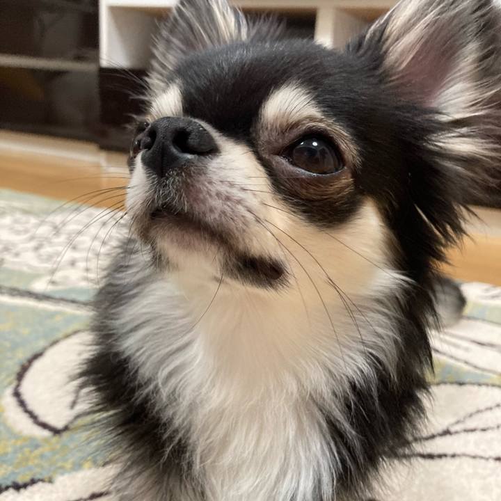 136f84de c69c 4ec0 8270 ffd2fd65de15 1623505214667