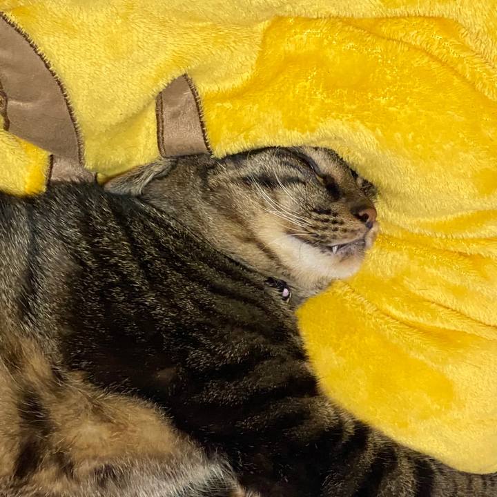 136f94b4 d67b 41d2 b97a f2d7c885ba4a 1589677455948