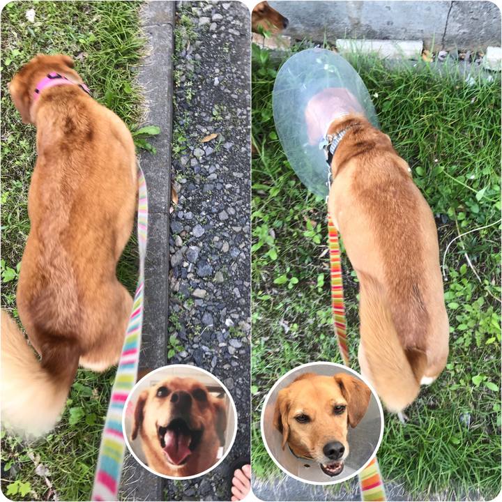 136fdf33 f225 4910 8f28 6e6eac5a40e8 1557105417090