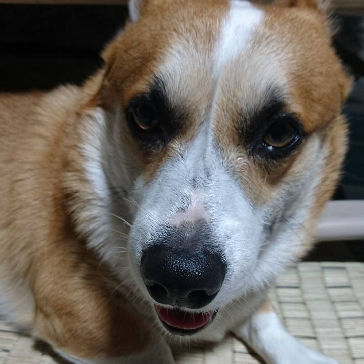 136ff438 ccf6 4b00 98aa 51ae52477795 1627349087175