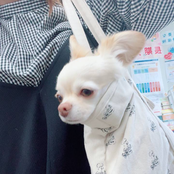 1370150e 9386 4a79 9017 e58575777357 1715578604505