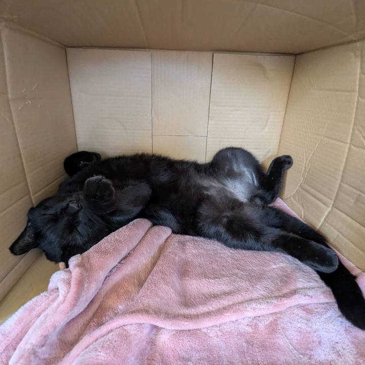 13702295 ebd4 4c95 bbaf 003e5f412cc5 1728107642345