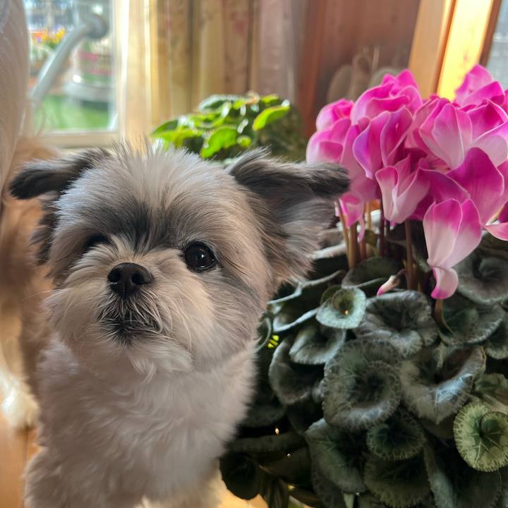 13705637 3d63 44e3 bf36 523dbe94d423 1736597724229