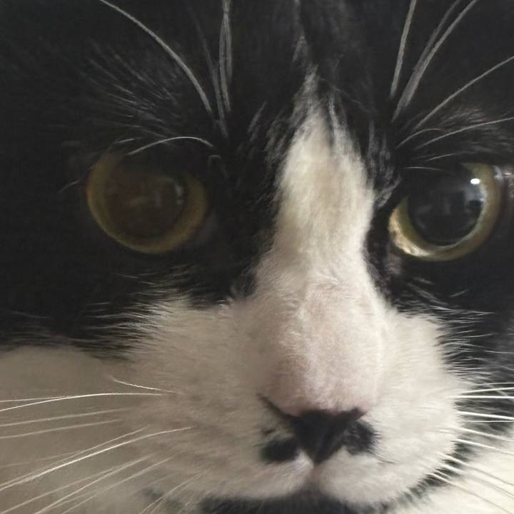 1370b532 018b 4b66 bbba f268b83053a1 1755915485926