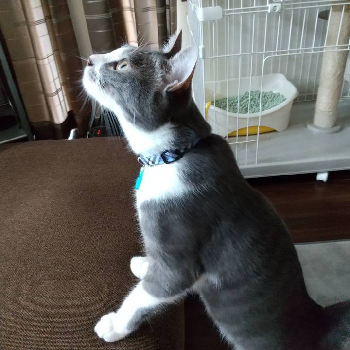 1370bac4 ade5 4af9 bf87 24792b103614 1597365608723