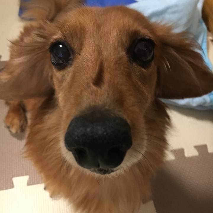 1370bb24 822e 43ec a72d 23a1a6d3bbd2 1567866432024