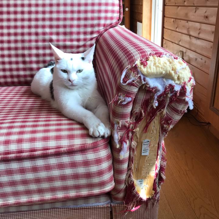 13710f52 1c2f 4153 9b23 748833e75641 1557743479912