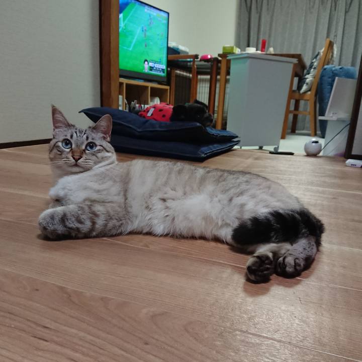 13712fba 113c 4533 9395 98f832b8700e 1568119171901