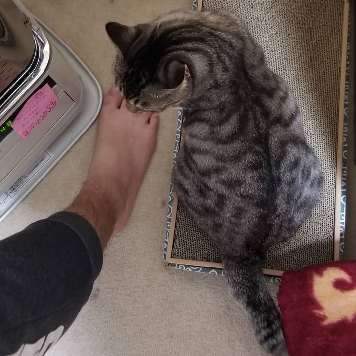 13716aff f0f9 4732 93e2 2fd01d236b42 1690981700967