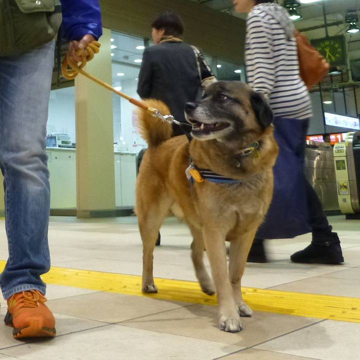 1371754c 4396 4c24 89d0 e39fd971a230 1578788446245