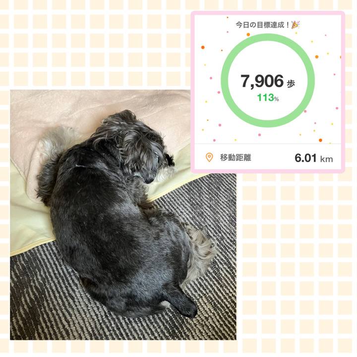 137189ba 890e 4322 be73 6c9e0a2ea7ed 1773986191428