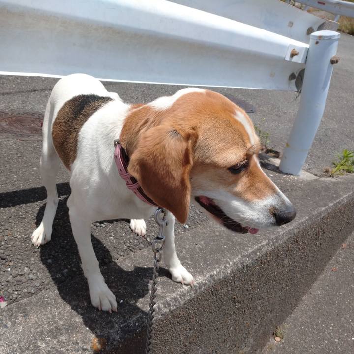 13719a16 3e6e 4b1f ae63 e74170d73846 1590559381522