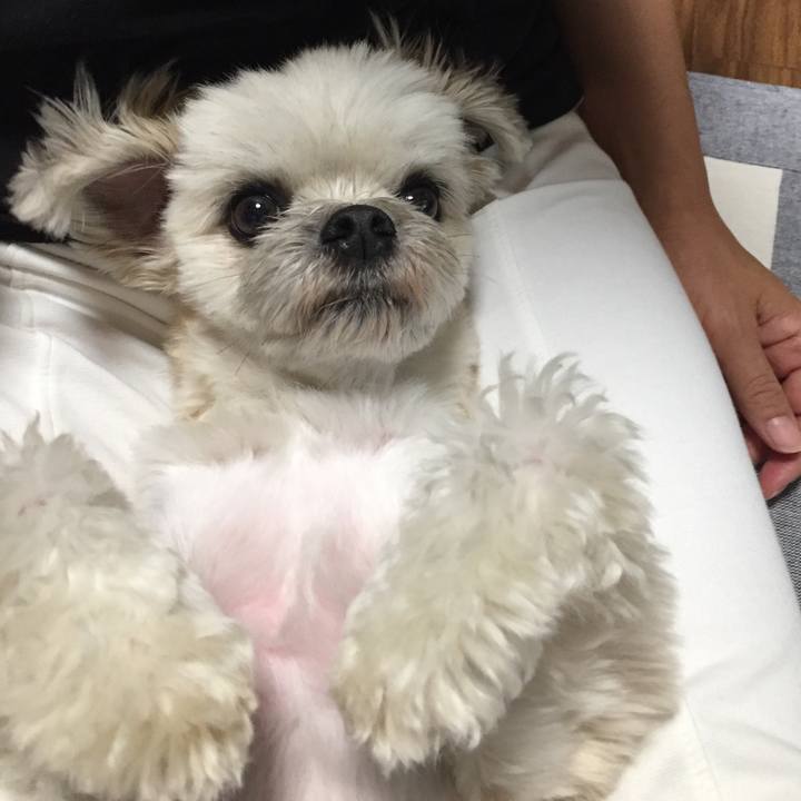 1371b7b9 7048 48f8 9d3b 0cfae456f24c 1560947211849