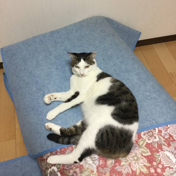 1371d908 cb05 42ee bdd2 cde25459bdd8 1509631280379