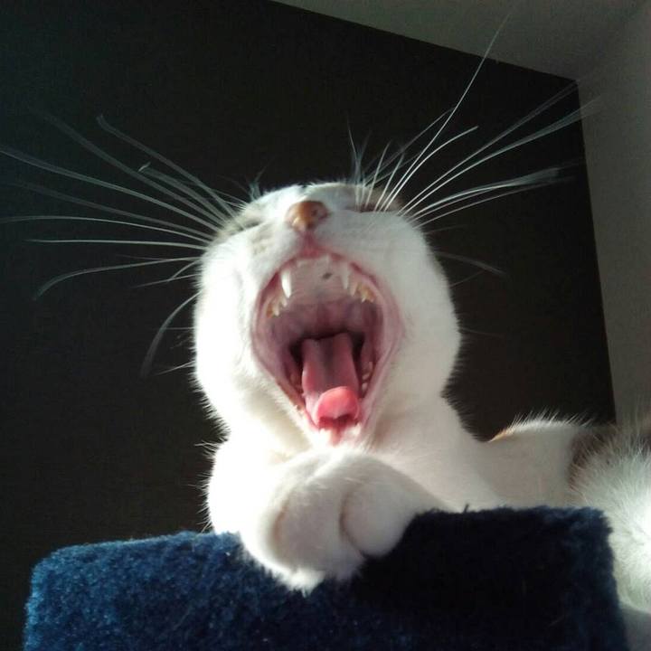 1371f9fd 50ac 4012 9391 2774bb743650 1686458732995