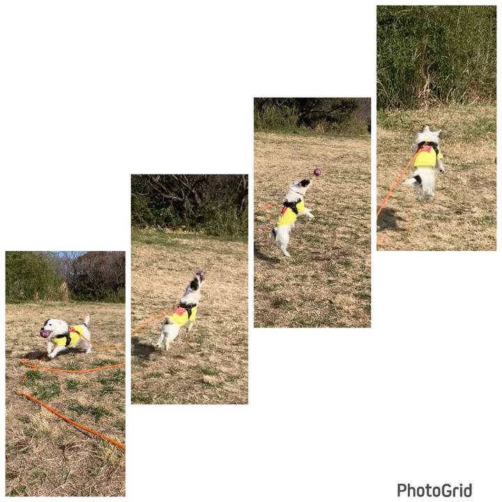 13723b3f a42a 419e 94f7 3480727302a3 1678151117954