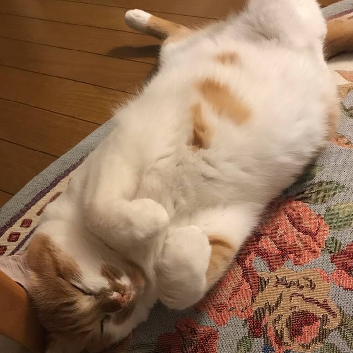 13726c5e 6a9f 4bf8 a349 e93fb4664011 1588415308005