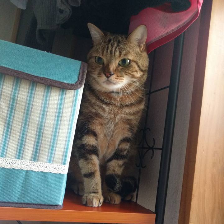 13727678 8192 4fd0 b348 16a014a67e07 1510637780918