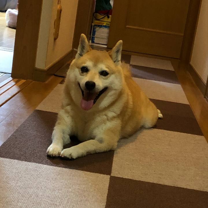 1372b017 4191 484c 9d20 e8786df5715b 1559474907937