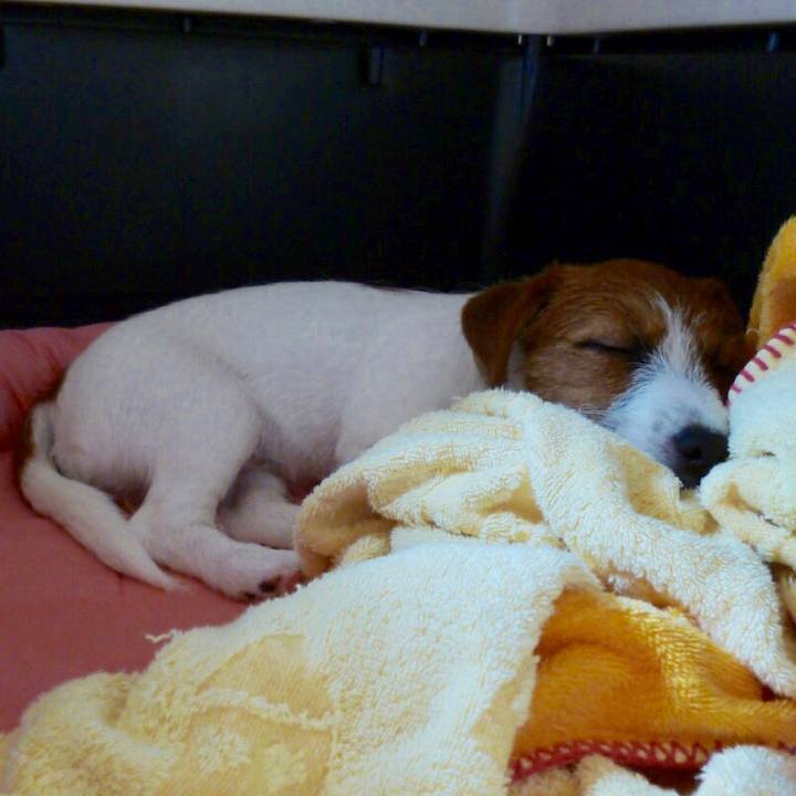 1372c213 30db 40f4 a986 eb670cc6f45d 1539986332669