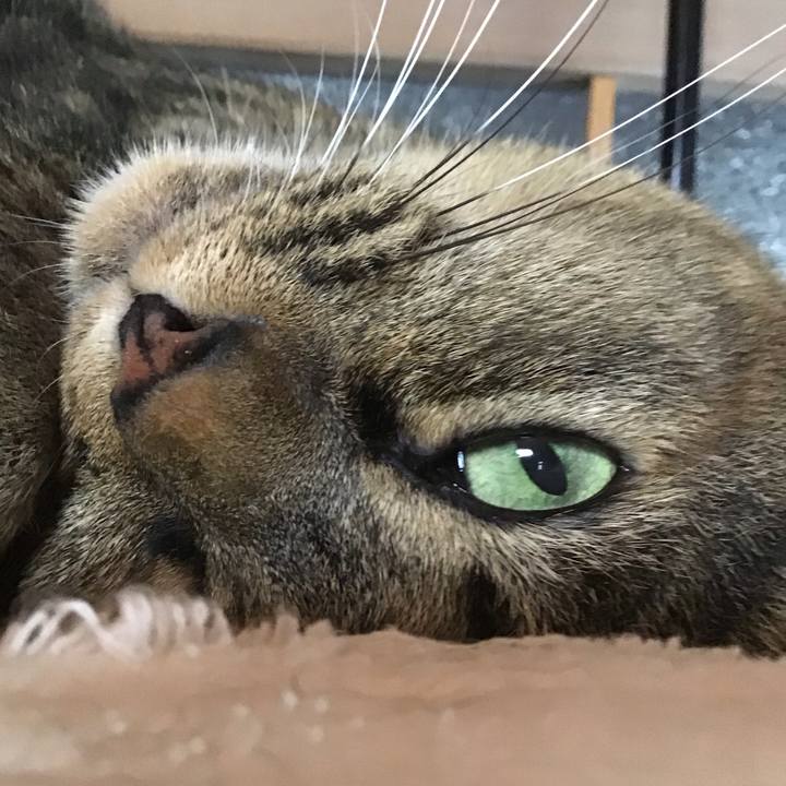 1372f111 ca13 40ae 8d64 89ea0c700e96 1758523296122