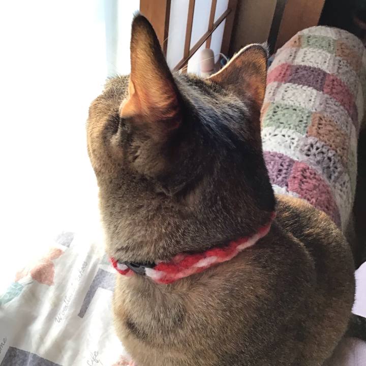 13734c6d ddfa 475f 8205 18957fcdffe3 1606866901376