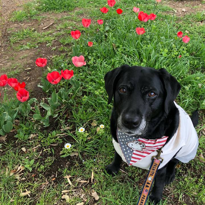 1373aecc c40f 48c0 8be5 d7b19bb88051 1555204372934