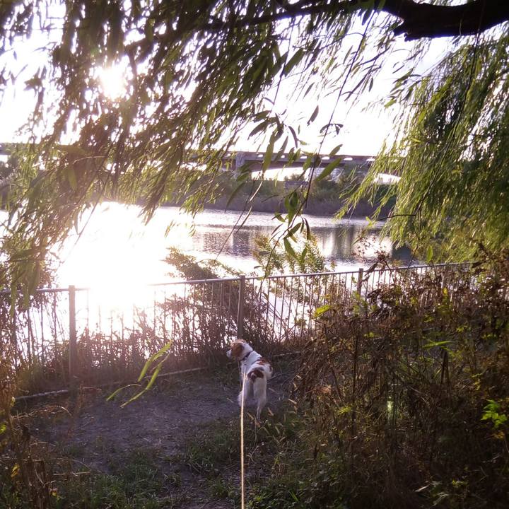 1373ba9c d7c7 4ffd aba8 e753e42d0fea 1509782969425