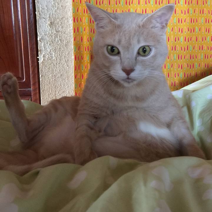 1373bb01 acd0 4178 9add 5285771e24f1 1630815111291