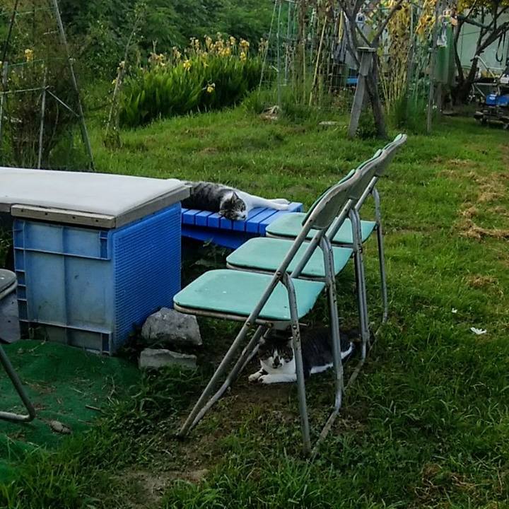 1373c635 46ee 4416 922c 24ed5933e006 1564918313498