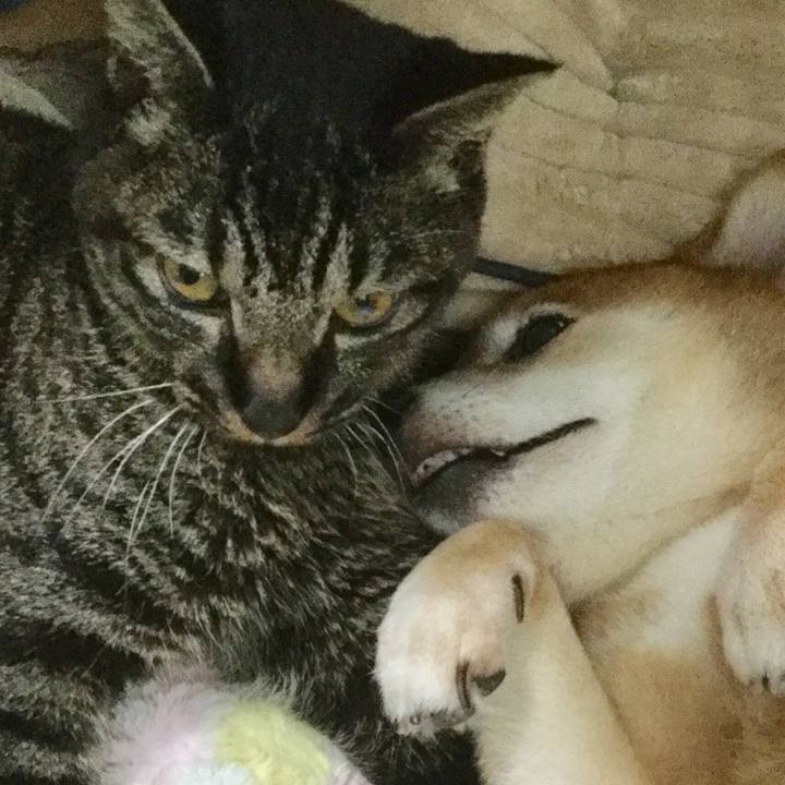 137415f9 12ff 404b 991f 92004eccf211 1593314787439