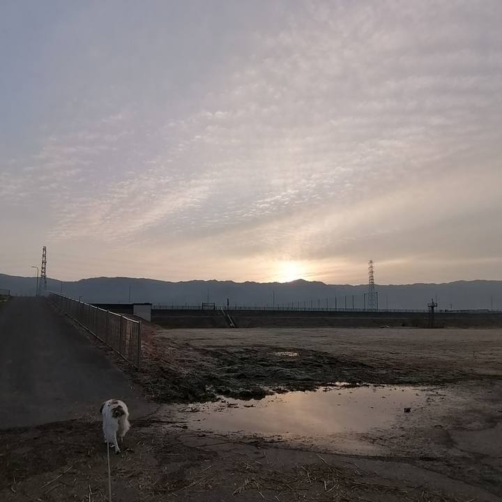 13742621 20b1 431a 81ab 8cf47c863918 1580700137208