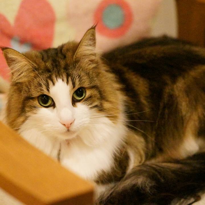 1374369c 7639 47df 830c 0875b618288c 1544952990112