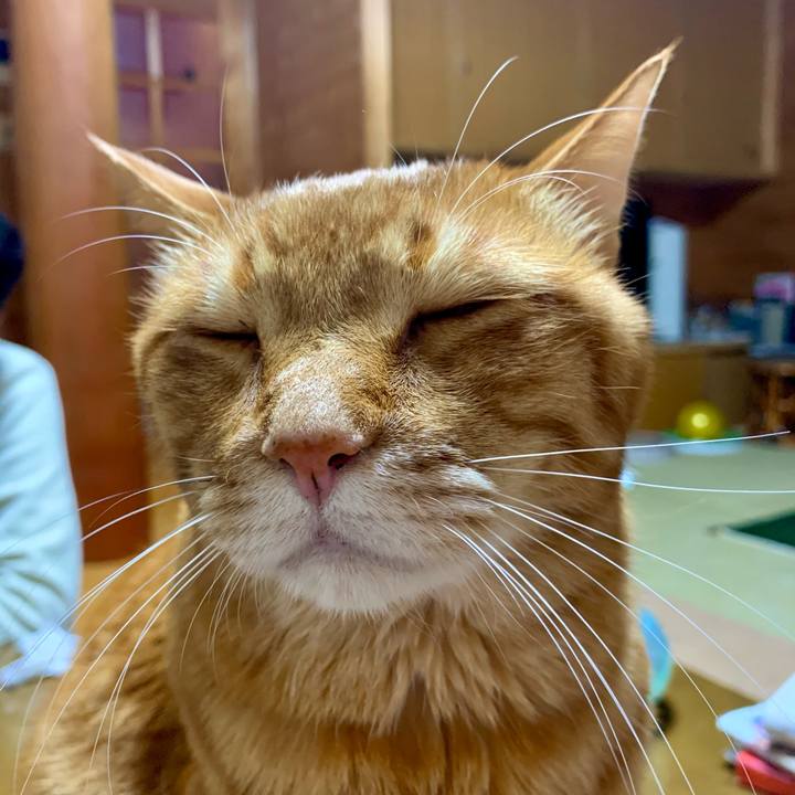 137446e4 f158 4f3c 9f1c 3775ddc751ba 1610881029250