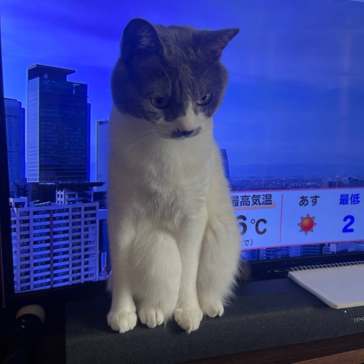 13748c25 aabe 4bae 851c f4fb21b5f450 1673937897244